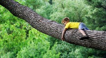 所有的孩子都需要知道的故事，你听过吗？